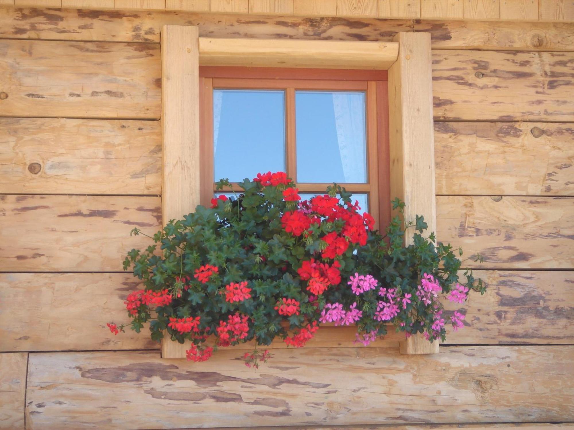 Haus Sonnleitn Hotel Санкт Йохан им Понгау Екстериор снимка